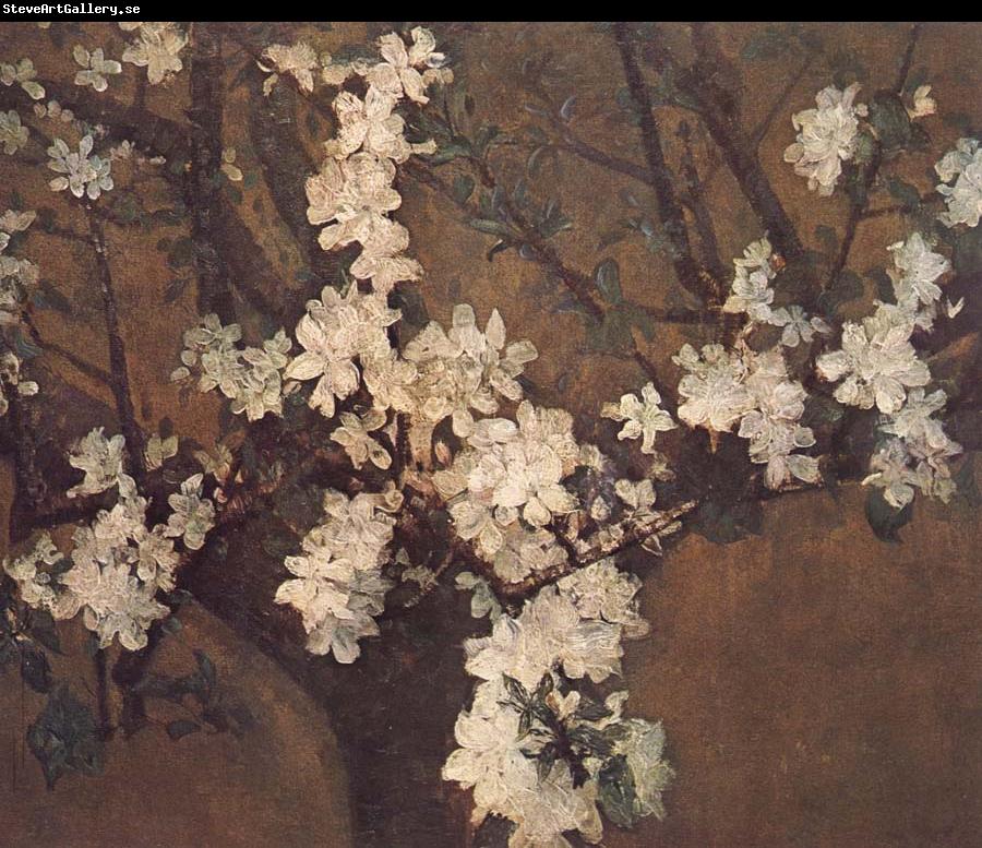 John Russell Almond tree in blossom